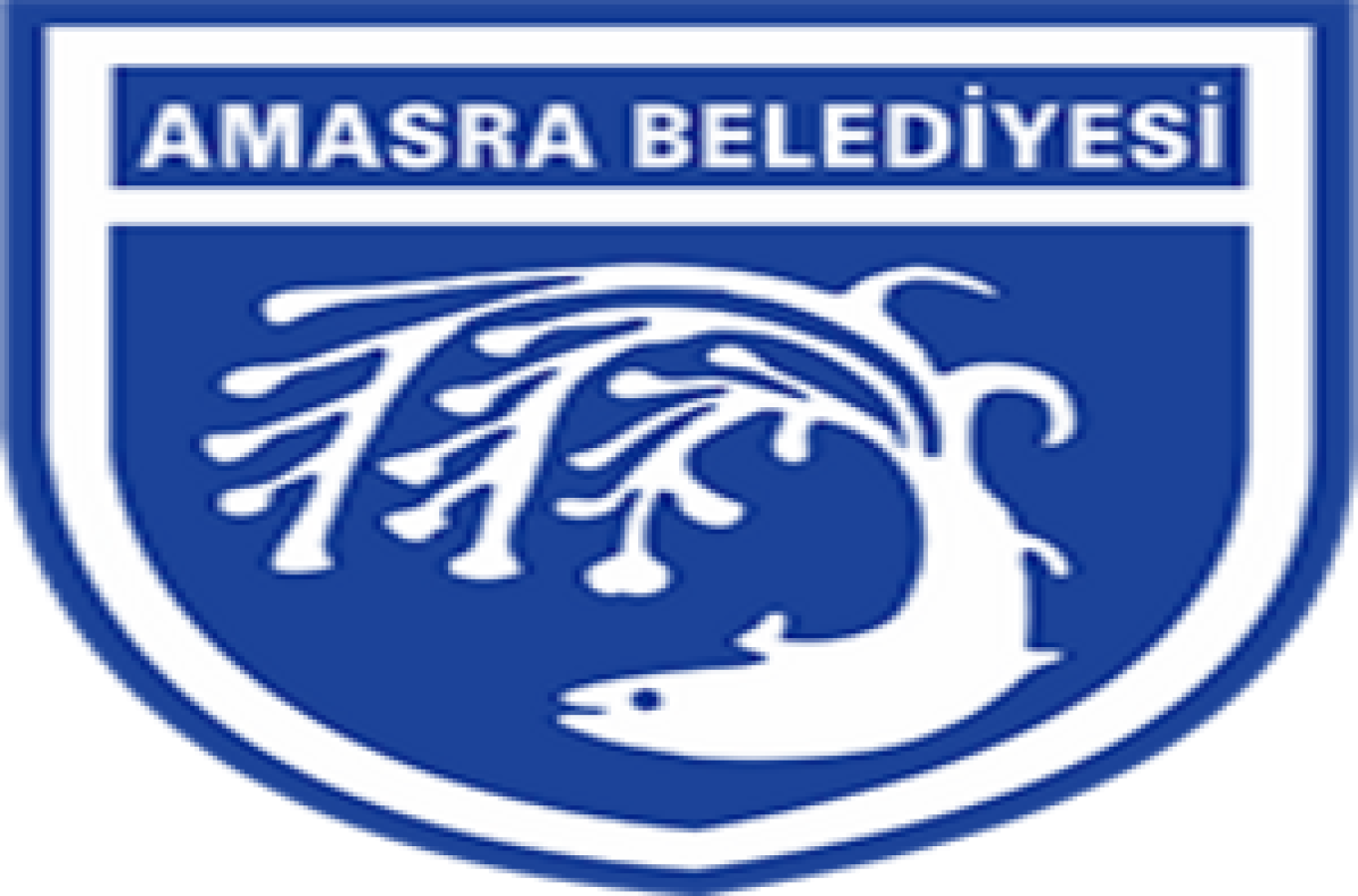AMASRA BELEDİYESİ